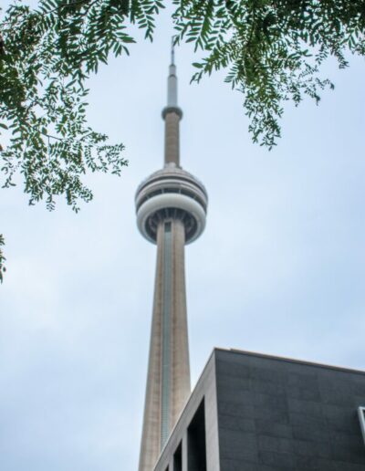 Photo of a CN Tower from the views in the streets with tress over it